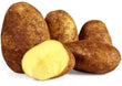 Organic Potato Dutch Cream