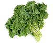 Organic Kale Green Scottish Curly bunch
