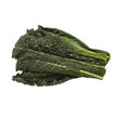 Organic Kale Cavalonero (dark green) bunch