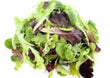 Organic Baby Salad Leaves