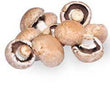 Organic Mushroom Swiss Brown