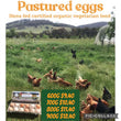 Free Range Pastured Eggs Dozen