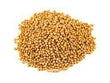 Organic Mustard Seed Yellow