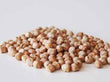 Organic Chickpeas Dried