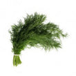 Organic Dill bunch