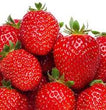 Organic Strawberries 250g Pnt