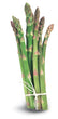 Organic Asparagus bunch