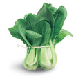 Organic Bok Choy bunch