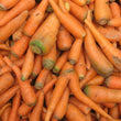 Organic Carrot (2nds/juicing)