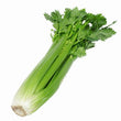 Organic Celery