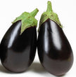 Organic Eggplant