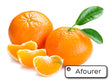 Organic Mandarin Afourer