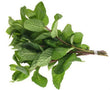 Organic Mint bunch