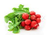 Organic Radish bunch