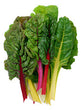 Organic Rainbow Chard