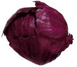 Organic Cabbage Red
