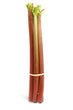 Organic Rhubarb bunch