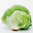 Organic Lettuce Iceberg