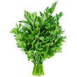 Organic Parsley