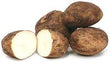 Organic Potato Sebago