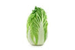 Organic Cabbage Wombok